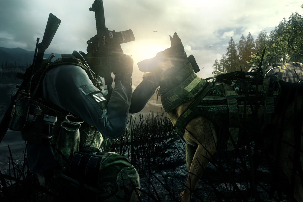 Call of Duty: Ghosts (PC) - Microsoft Store Key - United States