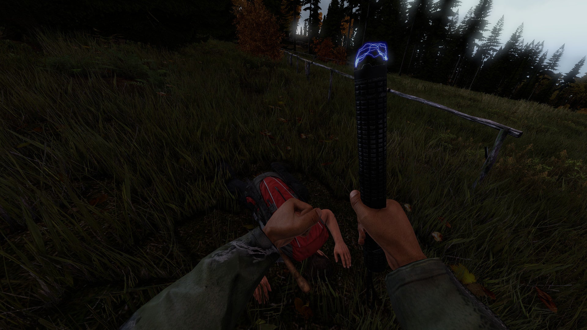 DayZ | Deluxe Edition (PC) - Steam Key - EUROPE