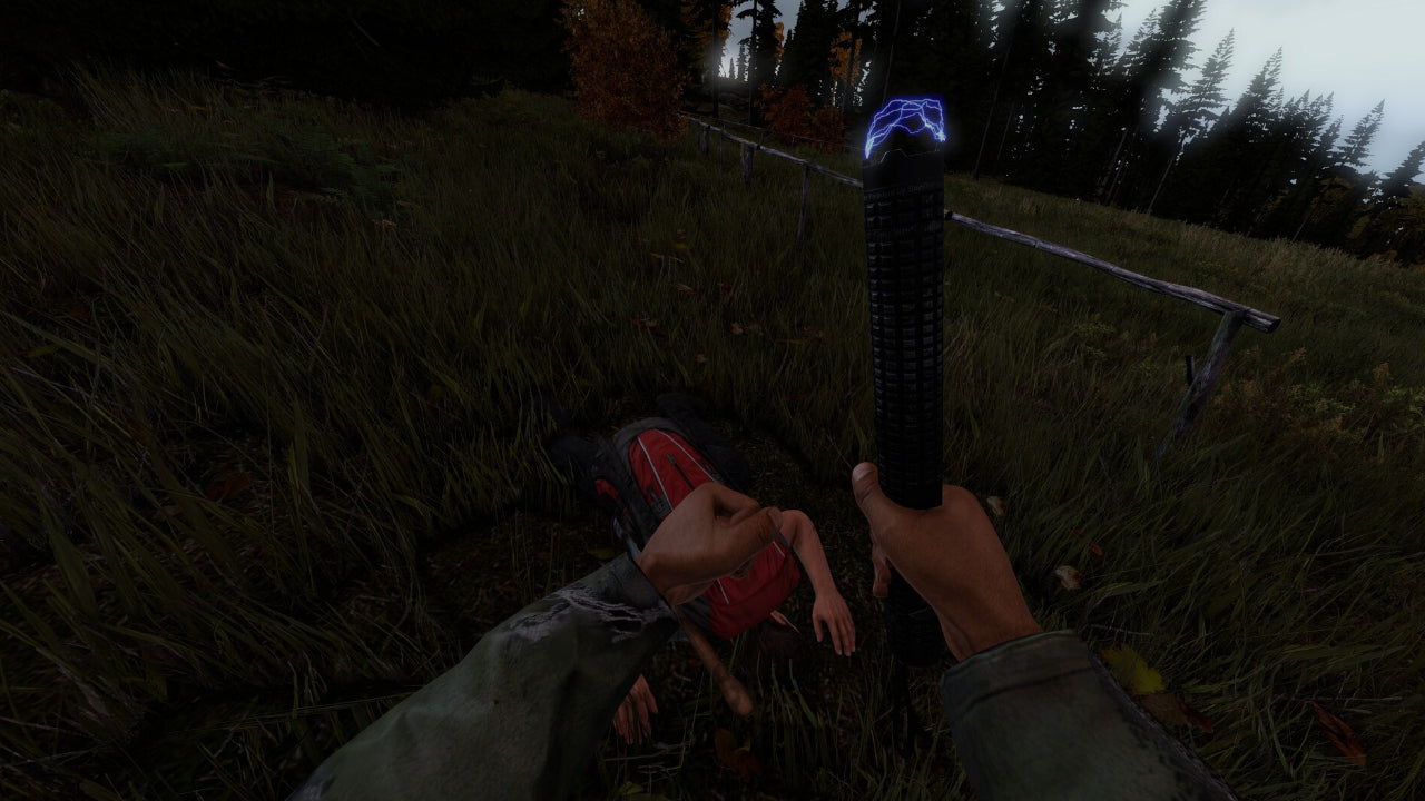 DayZ (PC) - Steam Key - UNITED STATES