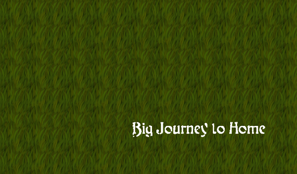 Big Journey to Home Steam Key GLOBAL
