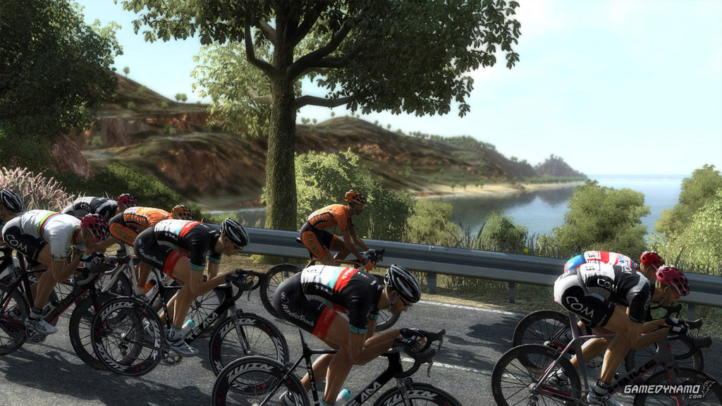 Pro Cycling Manager 2013 Steam Key GLOBAL