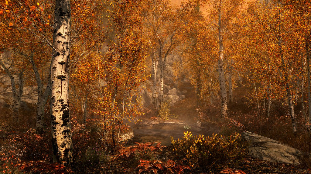 The Elder Scrolls V: Skyrim Special Edition (PC) - Steam Key - INDIA