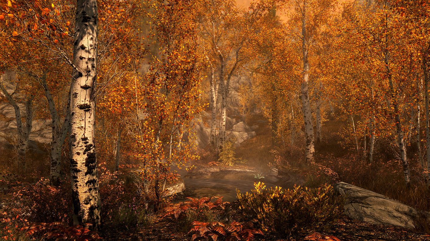 The Elder Scrolls V: Skyrim Special Edition (PC) - Steam Key - INDIA