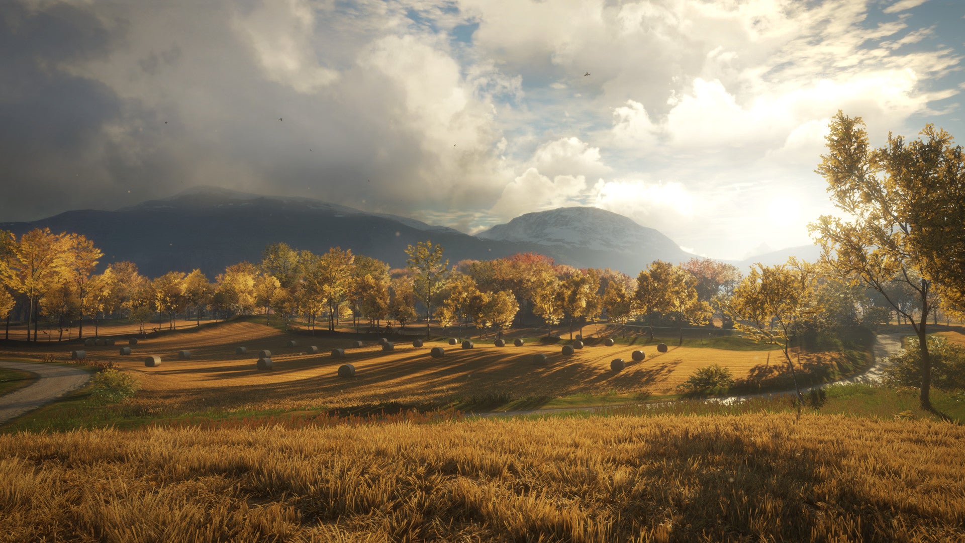 theHunter: Call of the Wild Steam Key - ROW