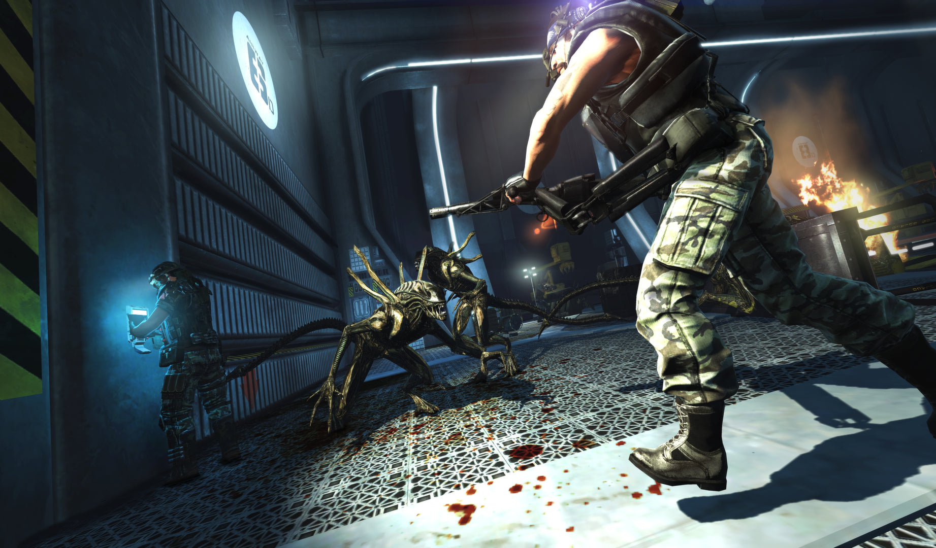 Aliens: Colonial Marines Collection (PC) - Steam Key - EUROPE