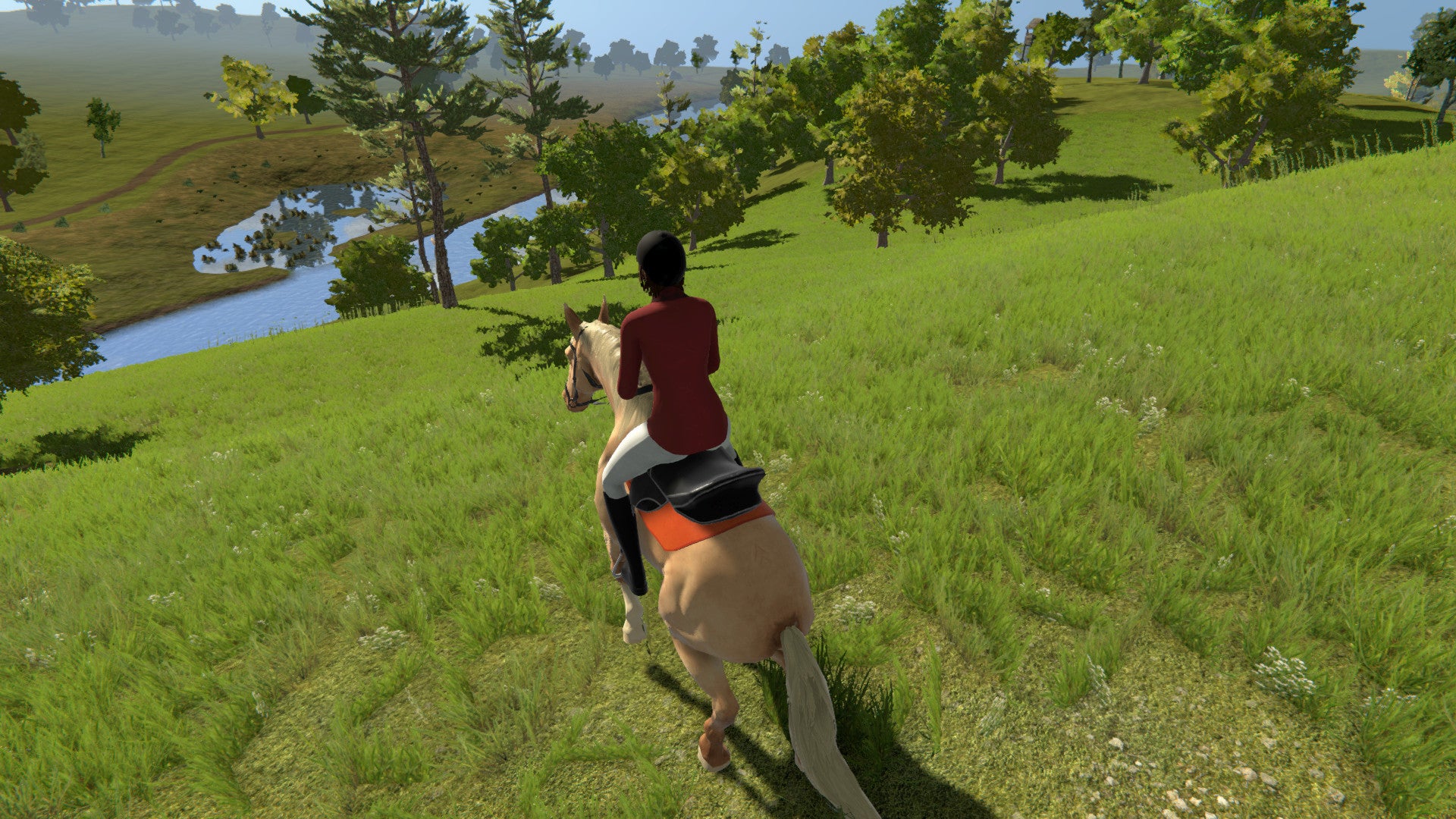 My Little Riding Champion Steam Key GLOBAL