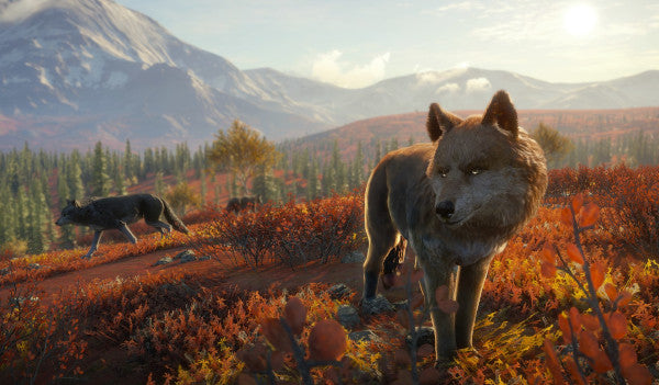 theHunter: Call of the Wild - Yukon Valley (PC) - Steam Key - EUROPE