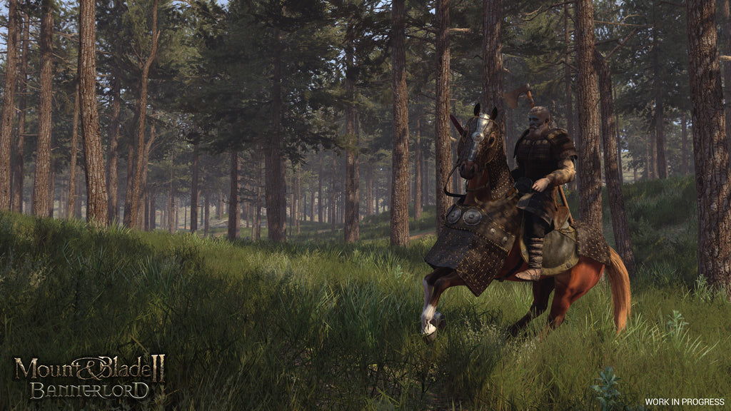 Mount & Blade II: Bannerlord (PC) - Steam Key - UNITED STATES