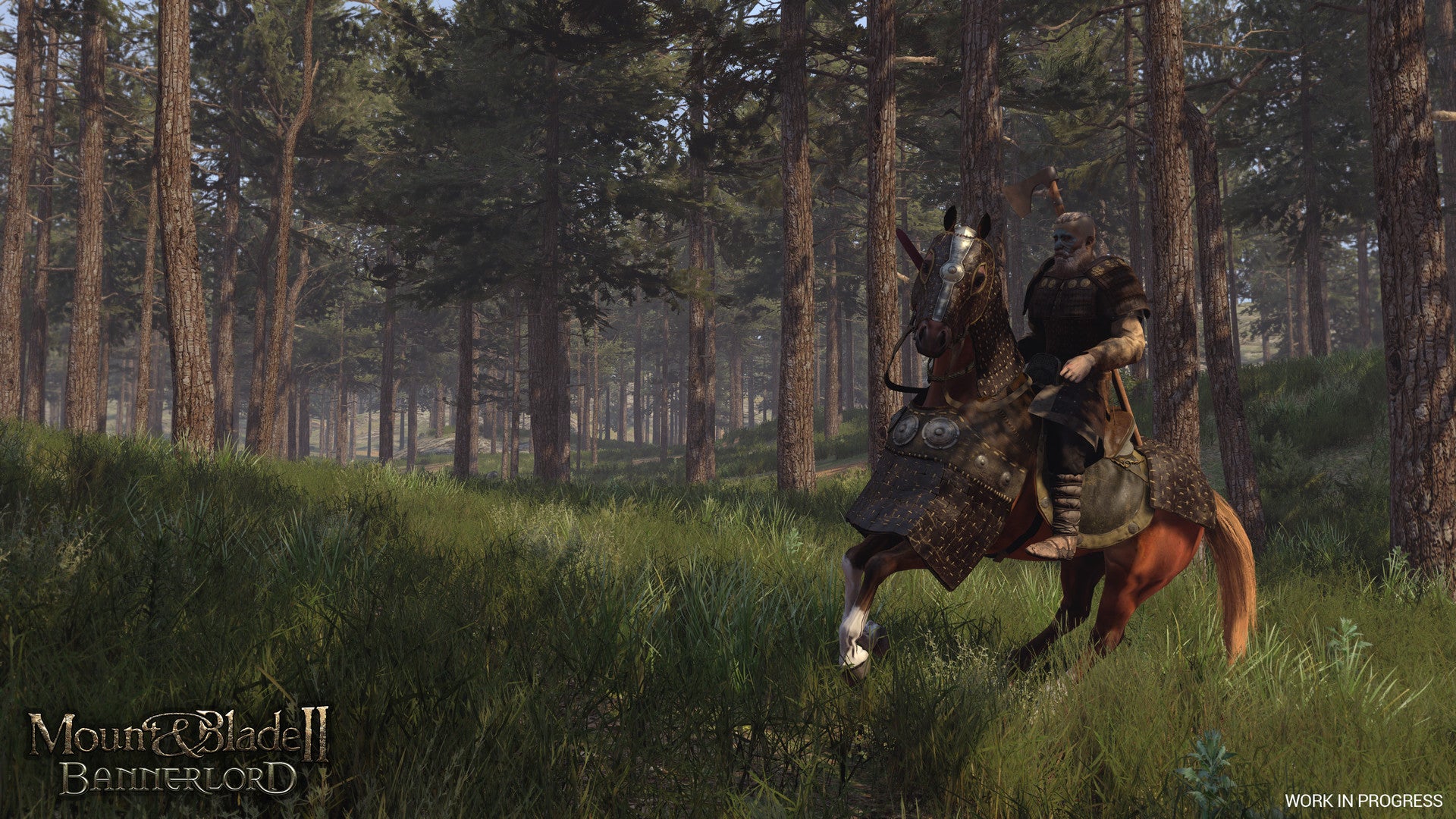 Mount & Blade II: Bannerlord (PC) - Steam Key - ASIA