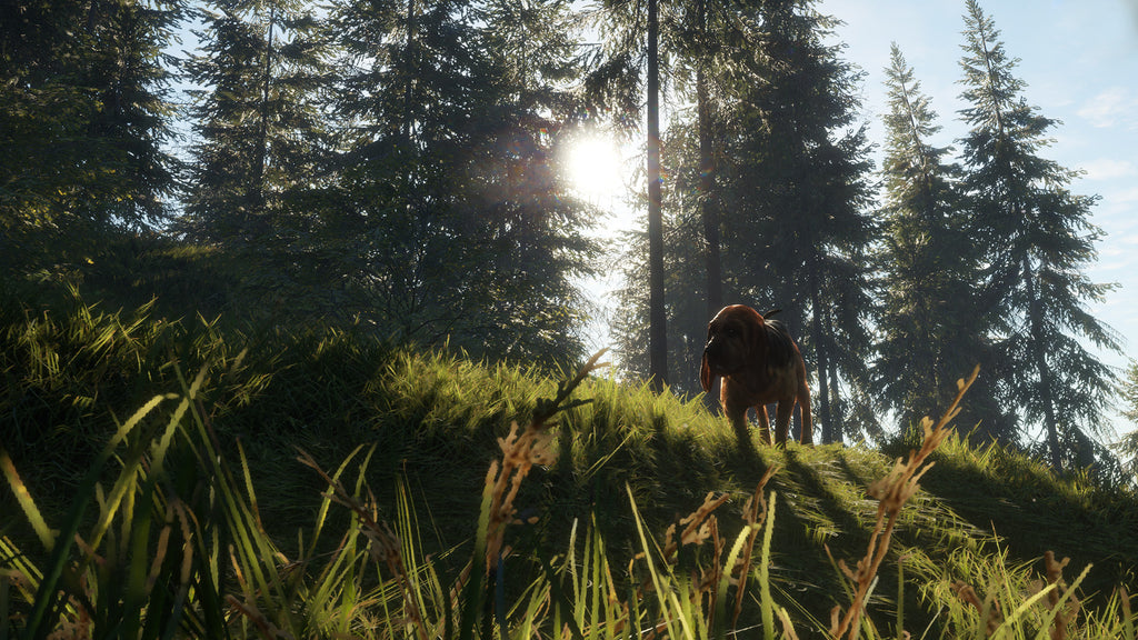 theHunter: Call of the Wild - Bloodhound (PC) - Steam Key - EUROPE