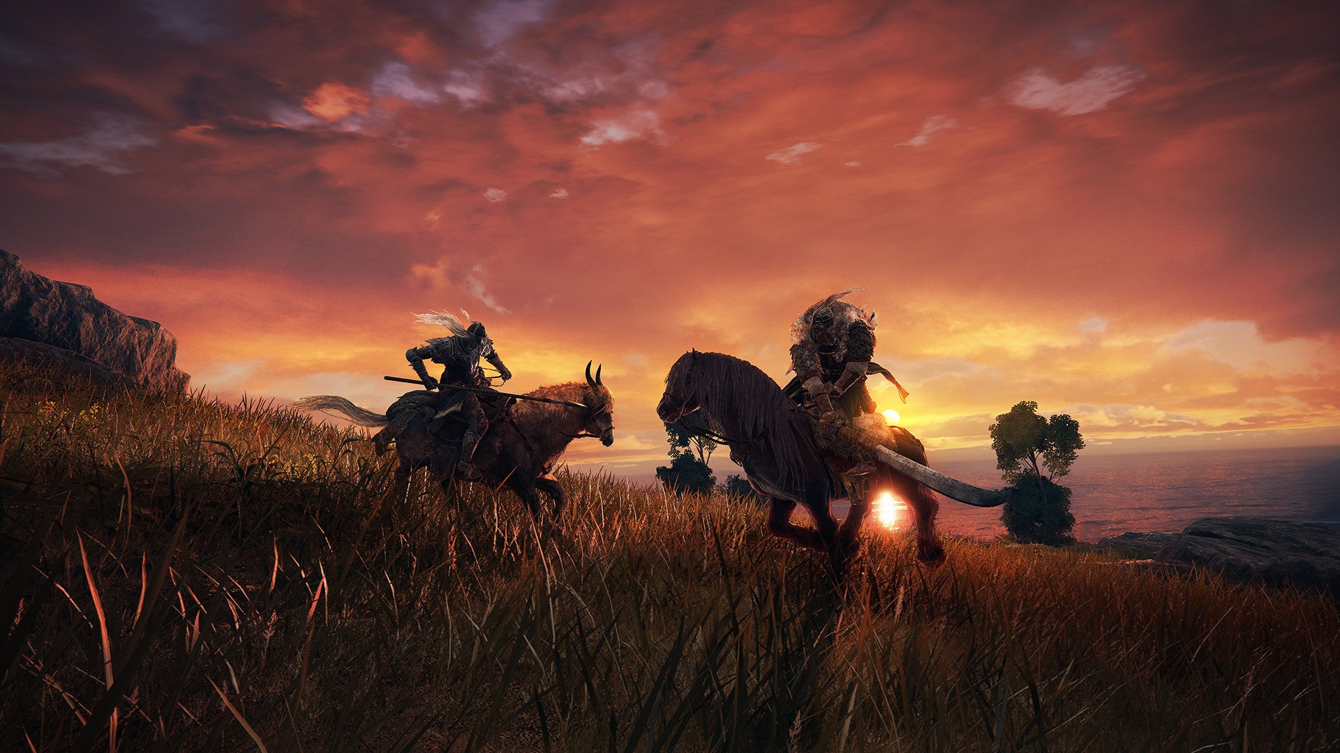 Elden Ring | Shadow of the Erdtree Edition (PC) - Steam Key - EUROPE