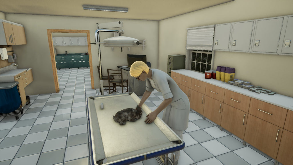 Animal Doctor (PC) - Steam Key - EUROPE