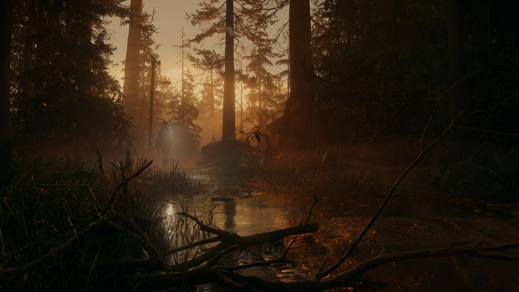 Alan Wake 2 | Deluxe Edition (Xbox Series X/S) - Xbox Live Key - GLOBAL