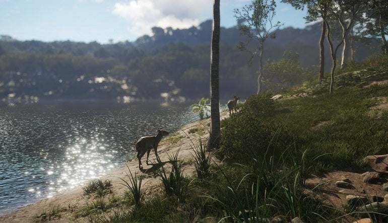 theHunter: Call of the Wild - Emerald Coast Australia (PC) - Steam Key - LATAM