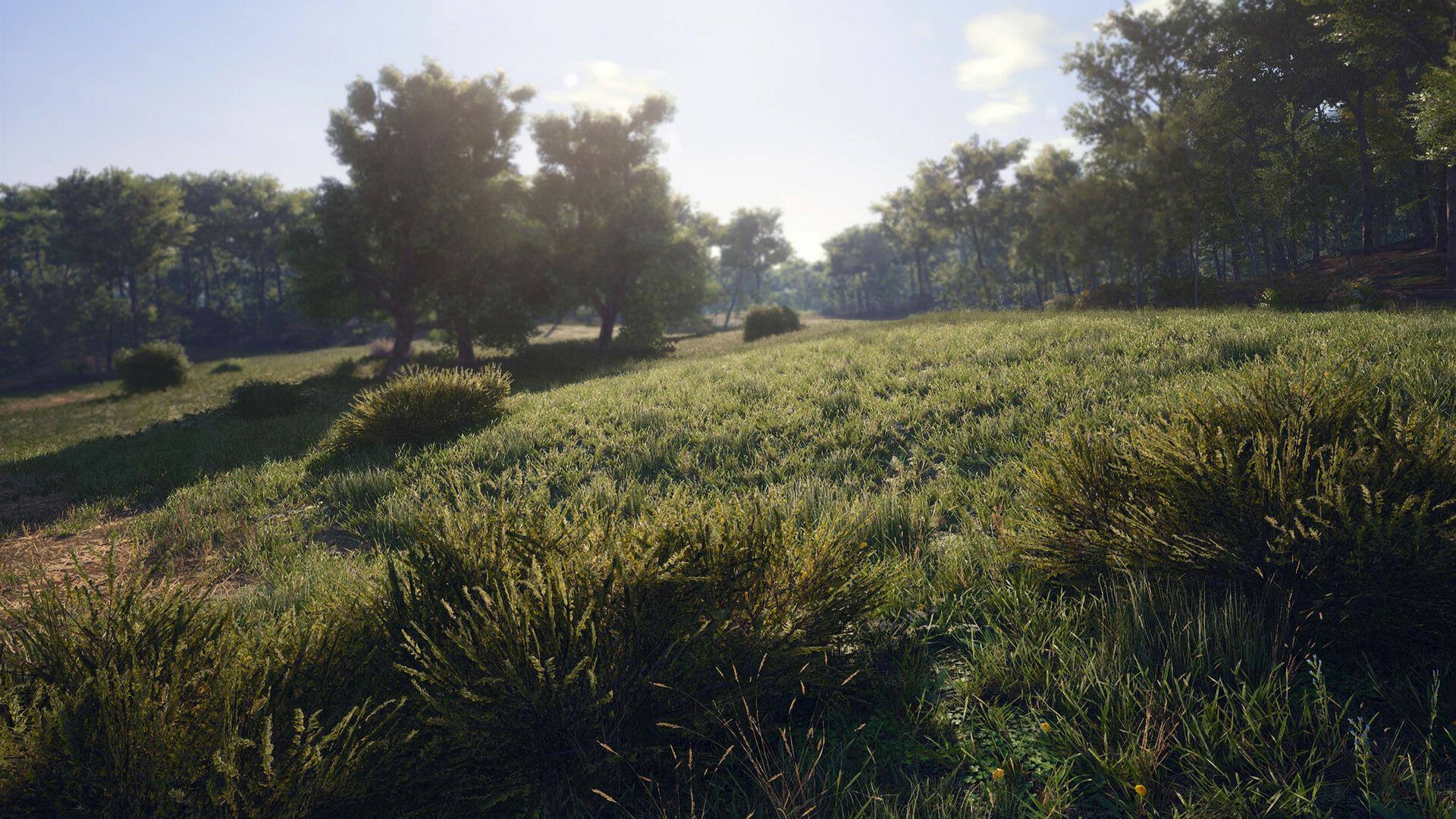 SCUM Character Bundle (PC) - Steam Key - GLOBAL