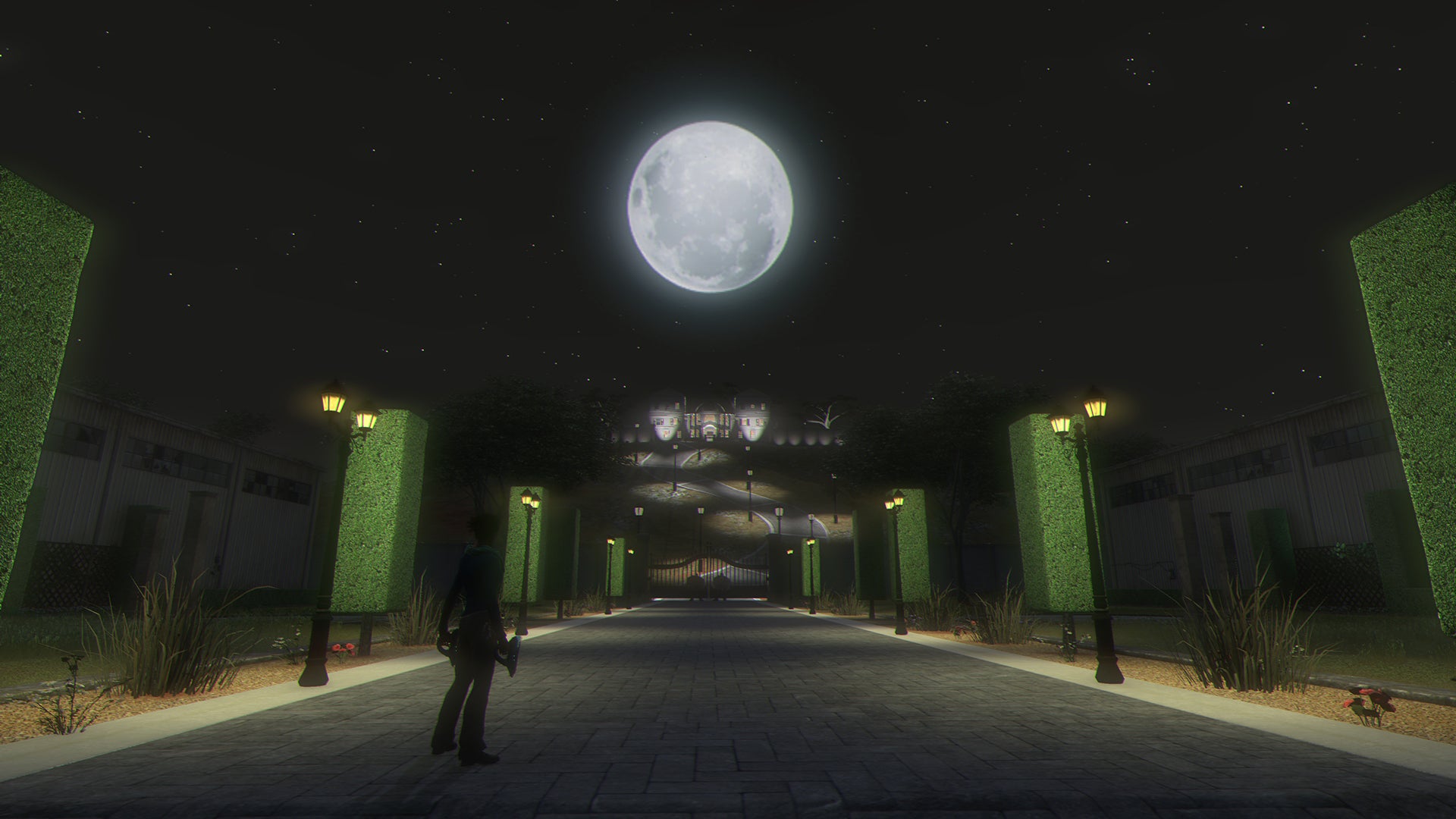 Secret World Legends: Dawn of the Morninglight Collector’s Edition (PC) - Steam Key  - ROW