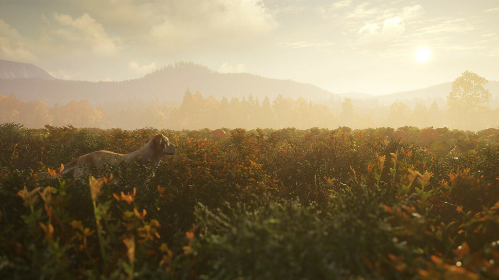 theHunter: Call of the Wild - Labrador Retriever (PC) - Steam Key - GLOBAL