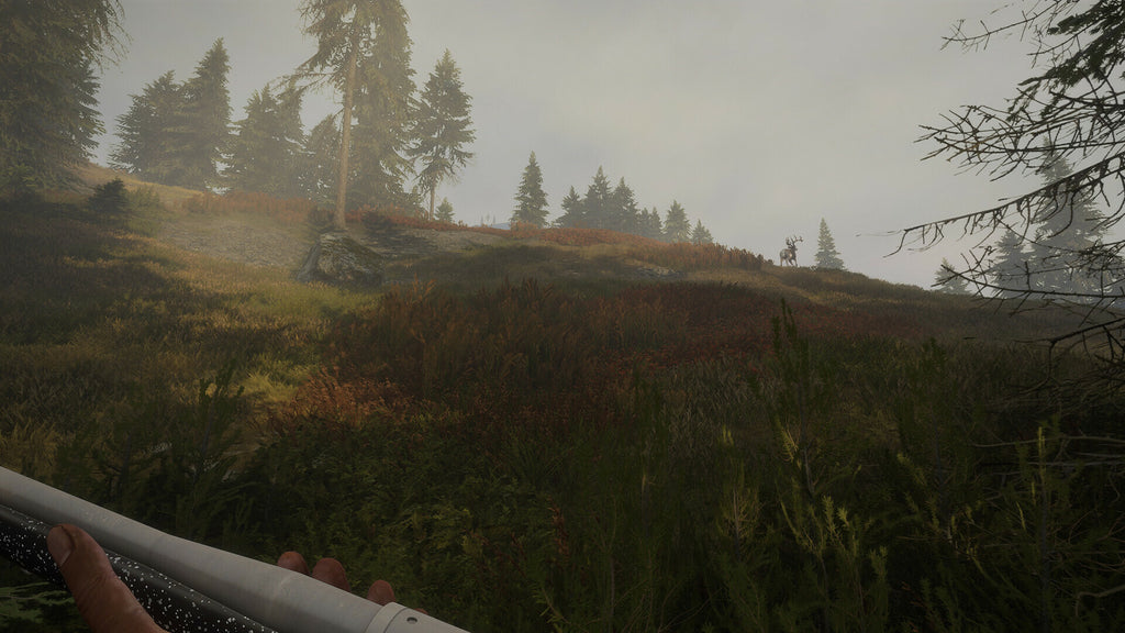 theHunter: Call of the Wild - Hunter Power Pack (PC) - Steam Key - GLOBAL