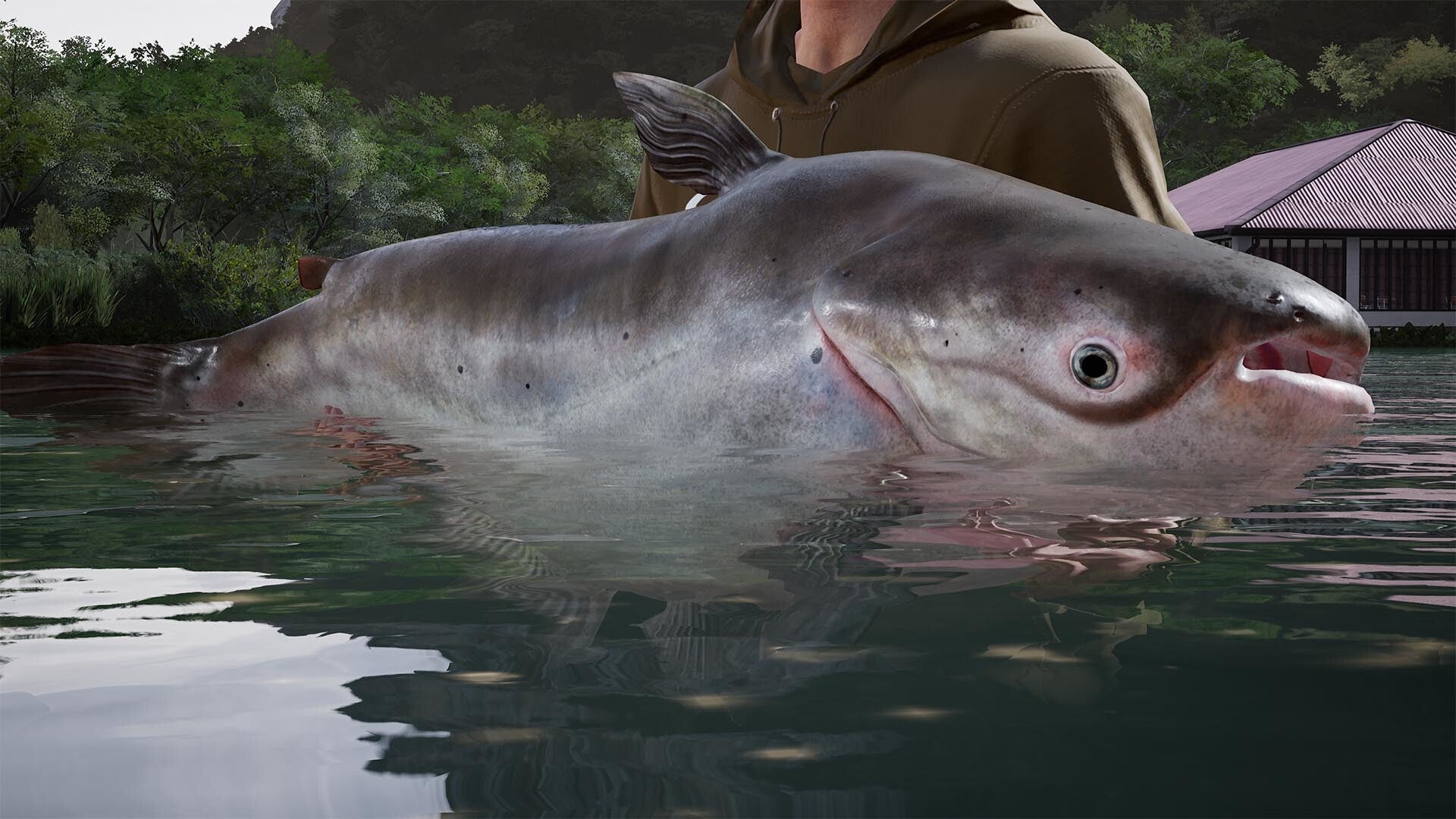 Fishing Sim World: Pro Tour - Giant Carp Pack (PC) - Steam Key - GLOBAL