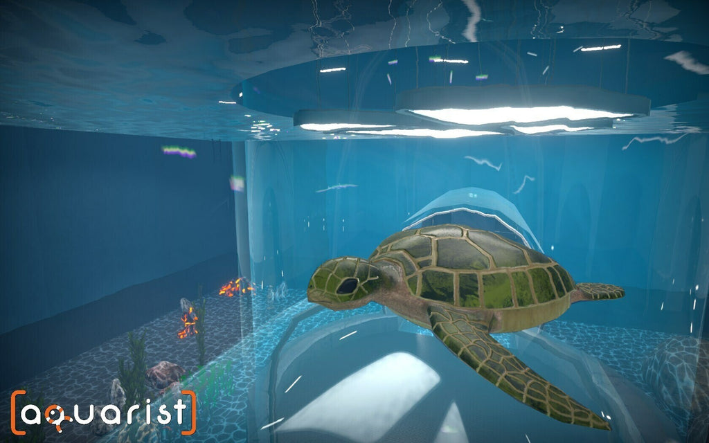 Aquarist (PC) - Steam Key - EUROPE
