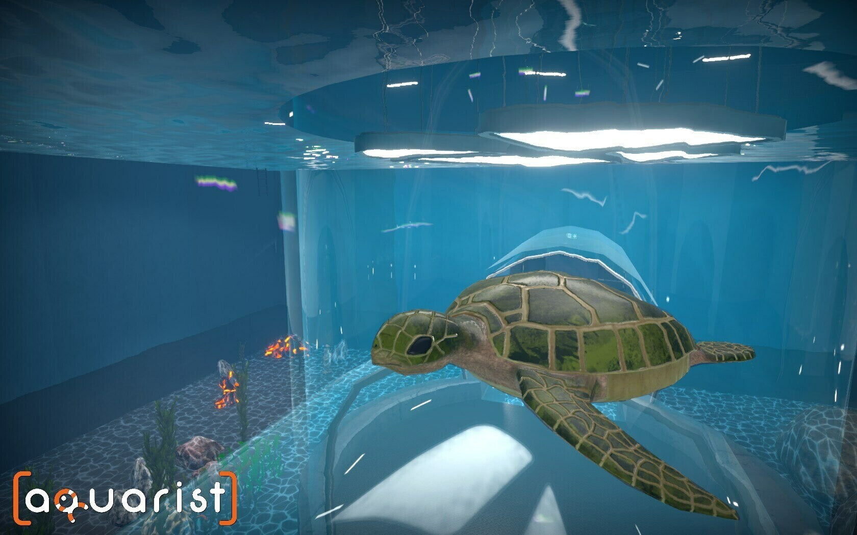 Aquarist (PC) - Steam Key - EUROPE