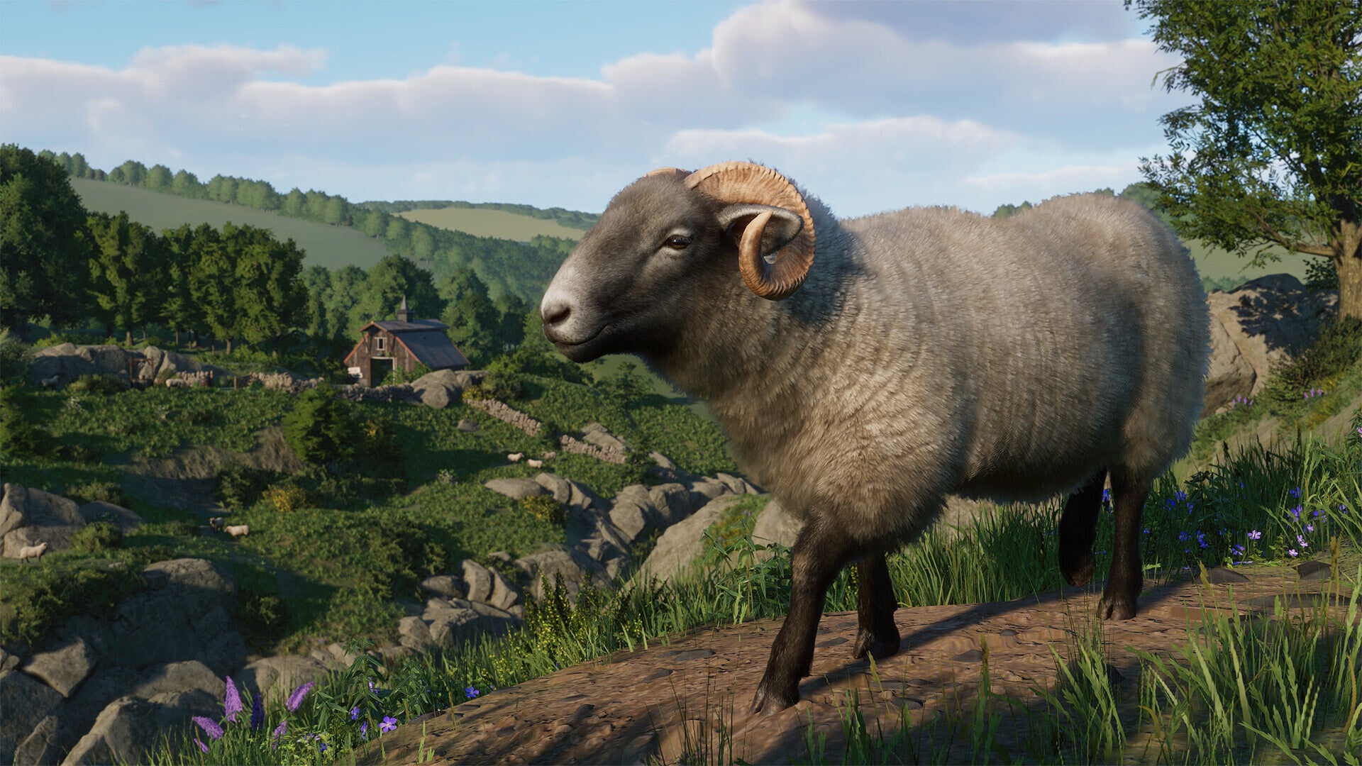 Planet Zoo: Barnyard Animal Pack (PC) - Steam Key - EUROPE