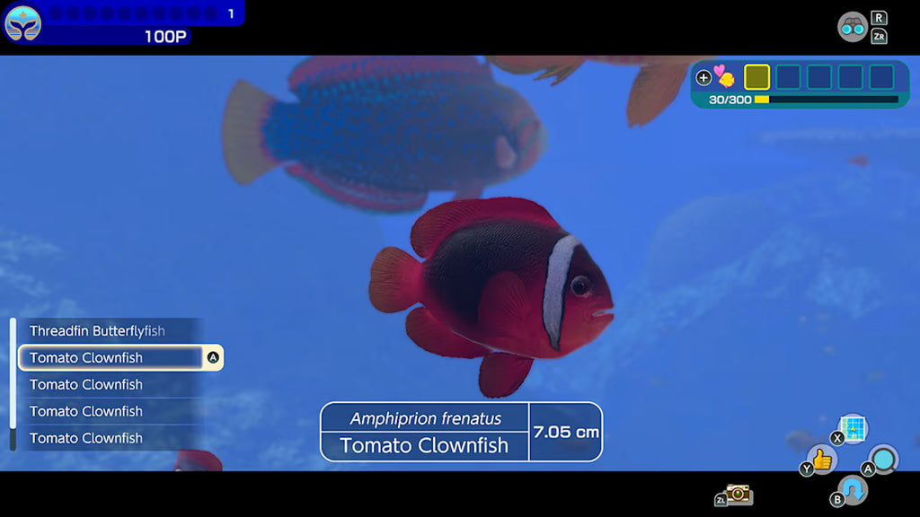 Endless Ocean: Luminous (Nintendo Switch) - Nintendo eShop Key - UNITED STATES