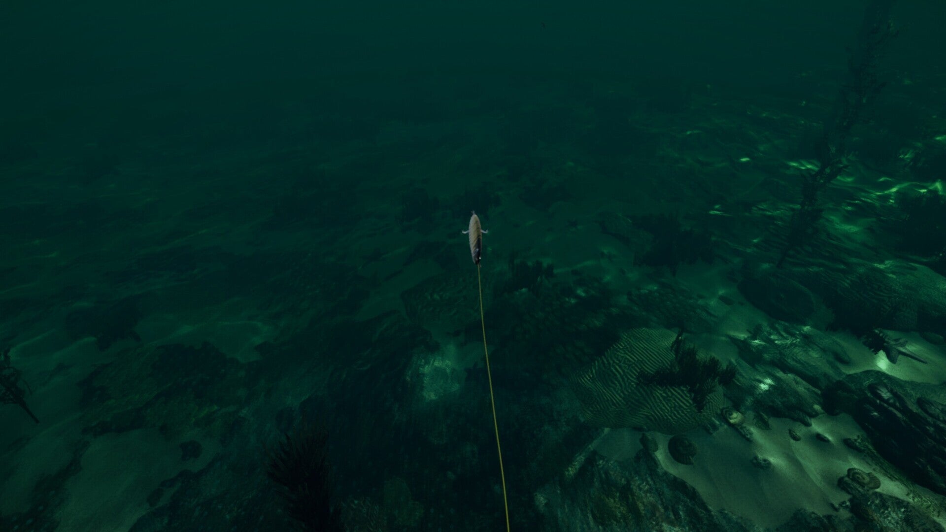 Ultimate Fishing Simulator: Florida (PC) - Steam Key - GLOBAL