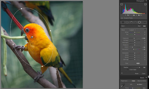 Adobe Lightroom 5.7 (PC) - Adobe Key - EUROPE