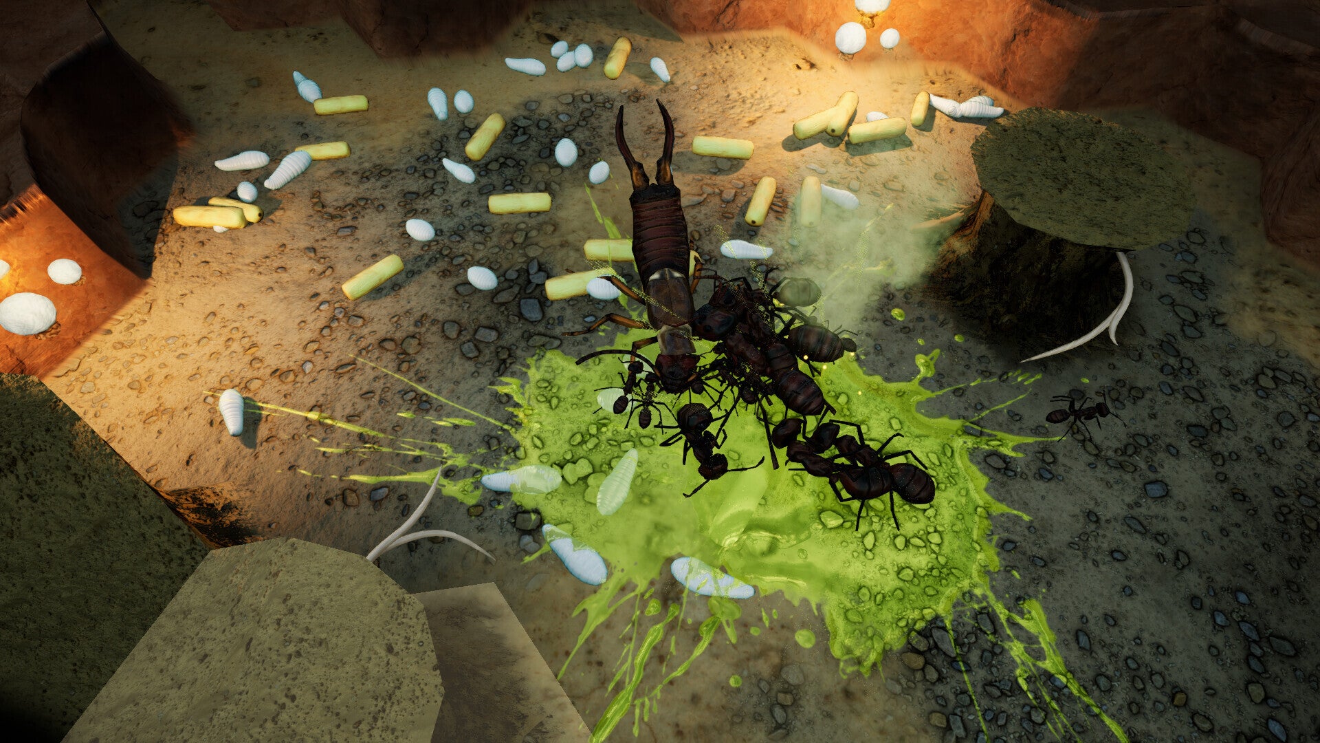 Empires of the Undergrowth - Exploding Ants (PC) - Steam Key - GLOBAL