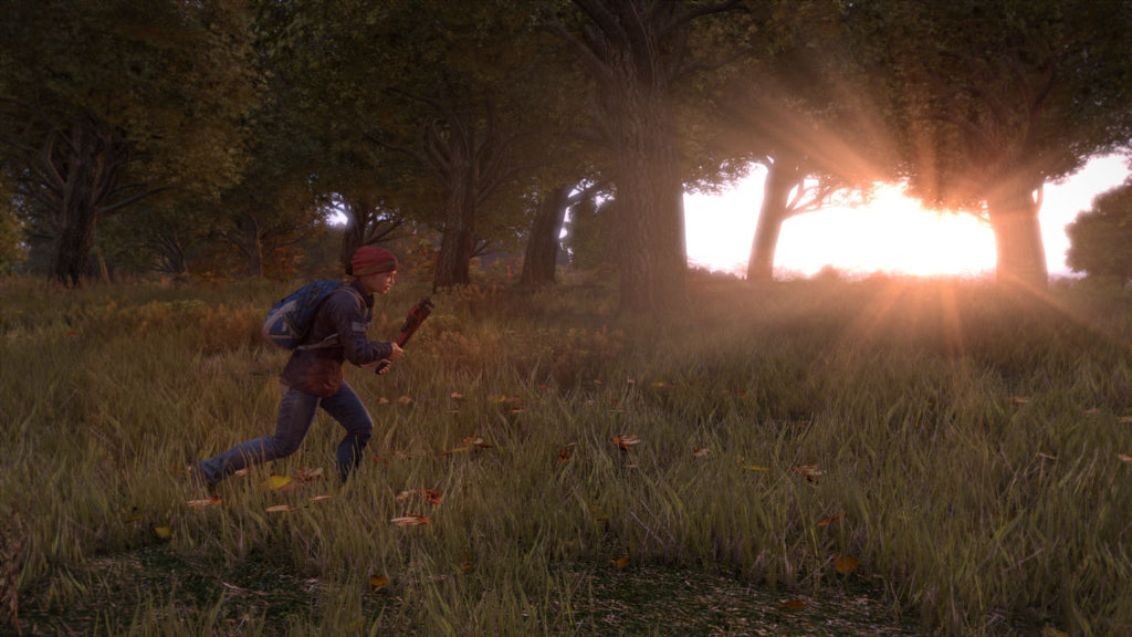 DayZ Steam Key GLOBAL