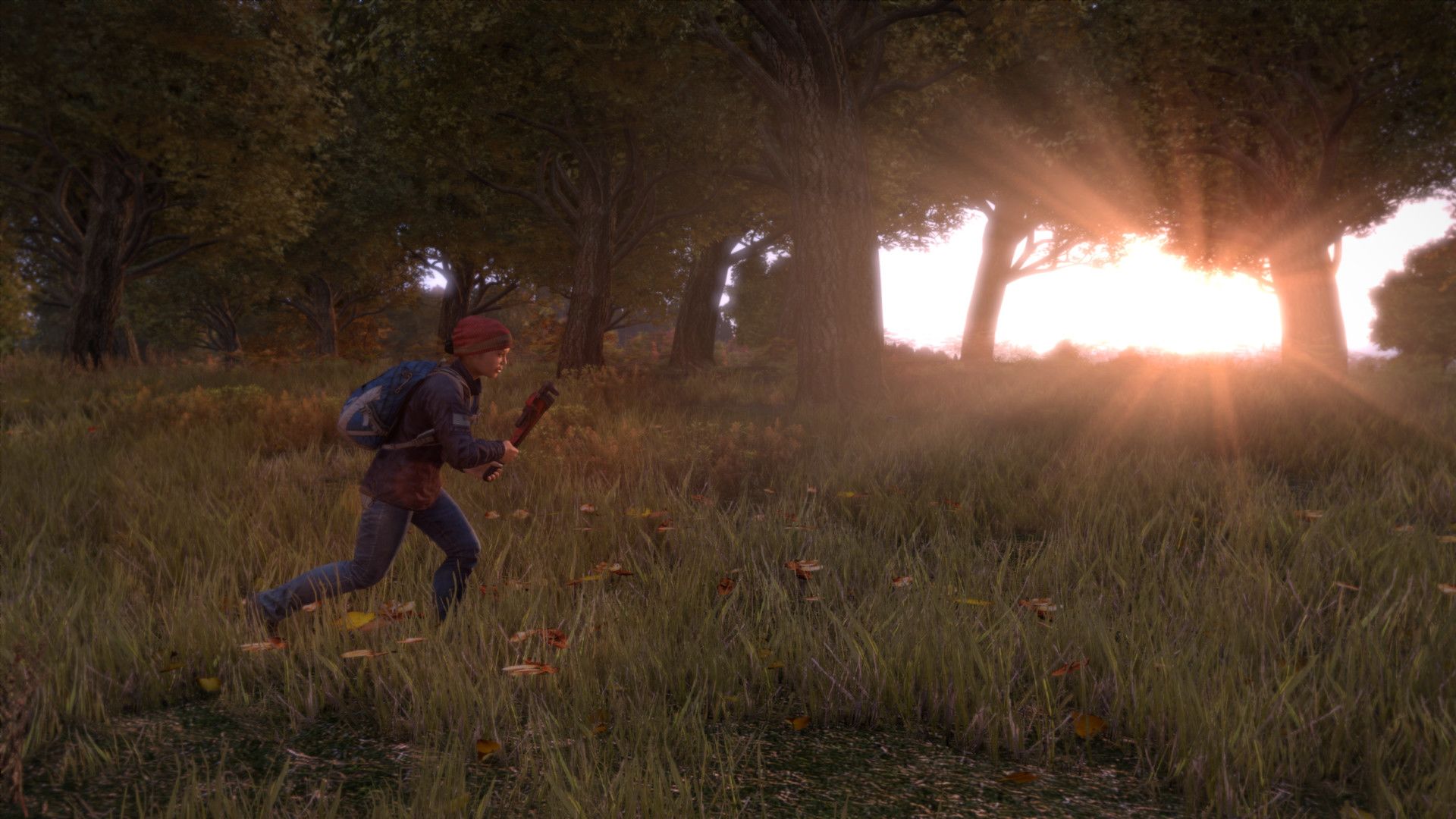 DayZ Steam Key GLOBAL