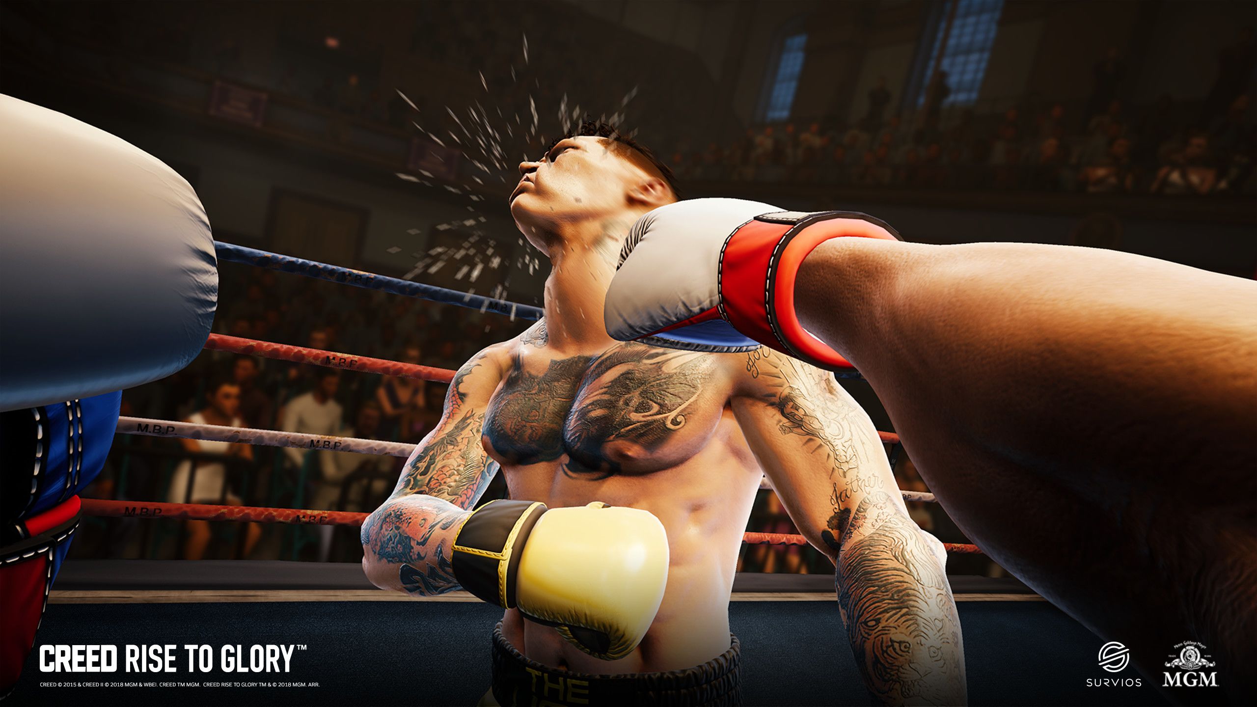 Creed: Rise to Glory VR (PC) - Steam Key - GLOBAL