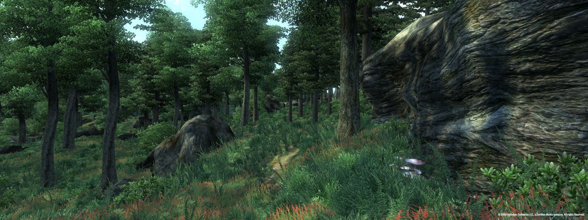 The Elder Scrolls IV: Oblivion Game of the Year Edition Steam Key GLOBAL