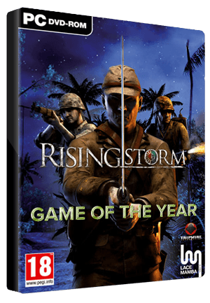 Rising Storm: Game of the Year Edition Steam Key GLOBAL