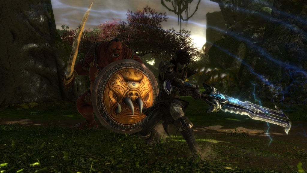Kingdoms of Amalur: Re-Reckoning (PC) - Steam Key - GLOBAL