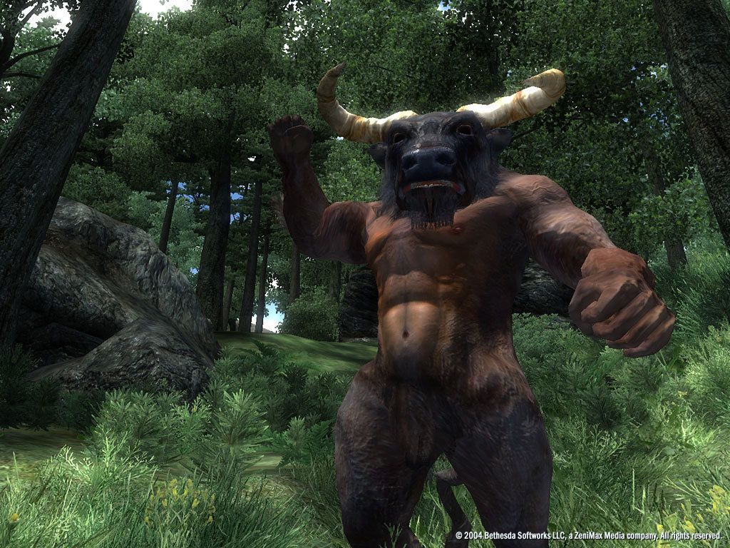 The Elder Scrolls IV: Oblivion GOTY Steam Key EUROPE