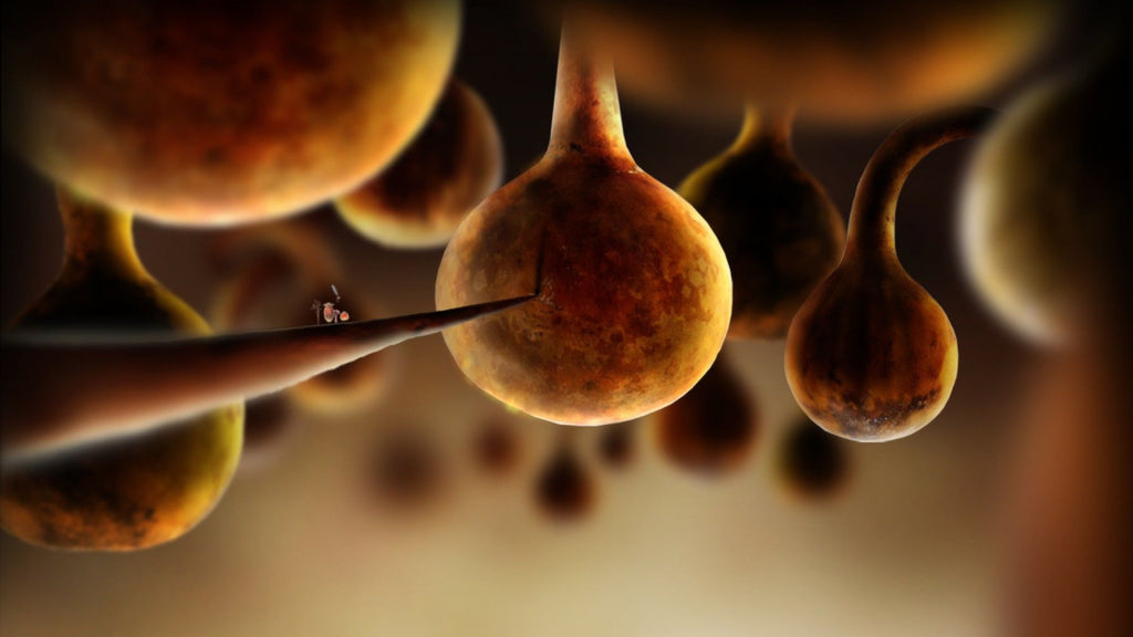 Botanicula Steam Key GLOBAL