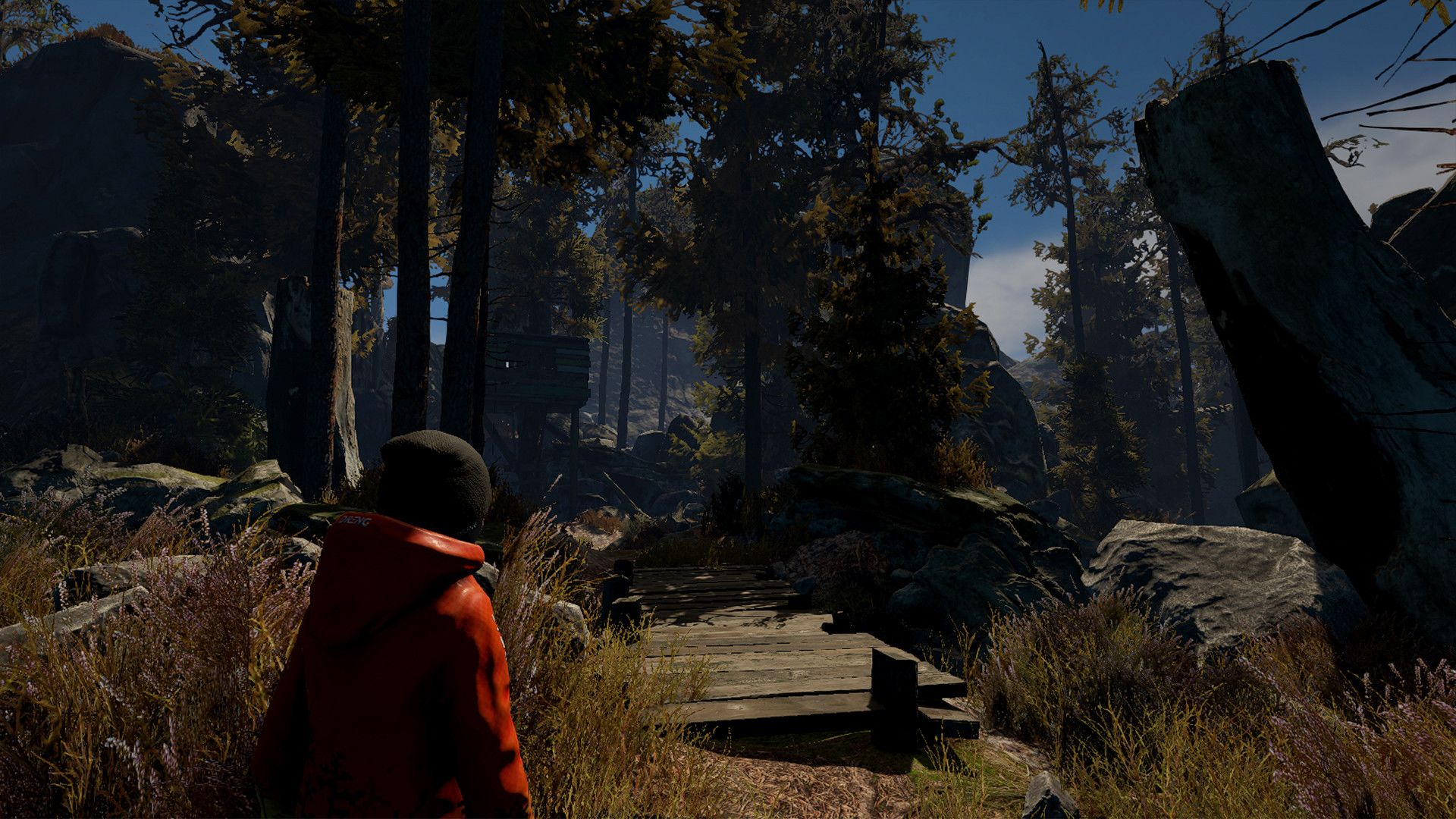 Through the Woods Steam Key GLOBAL