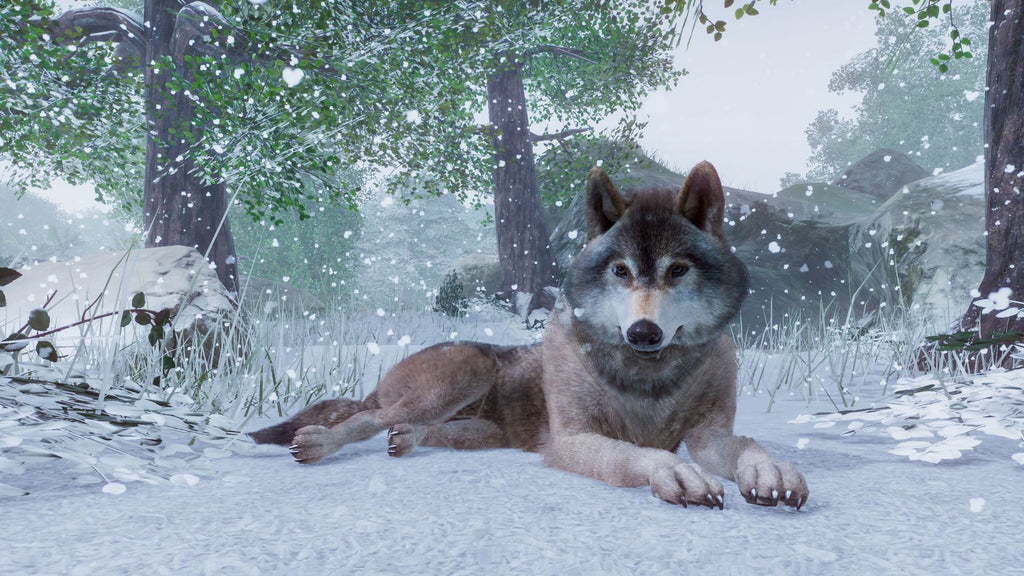 Planet Zoo - Steam - Key EUROPE