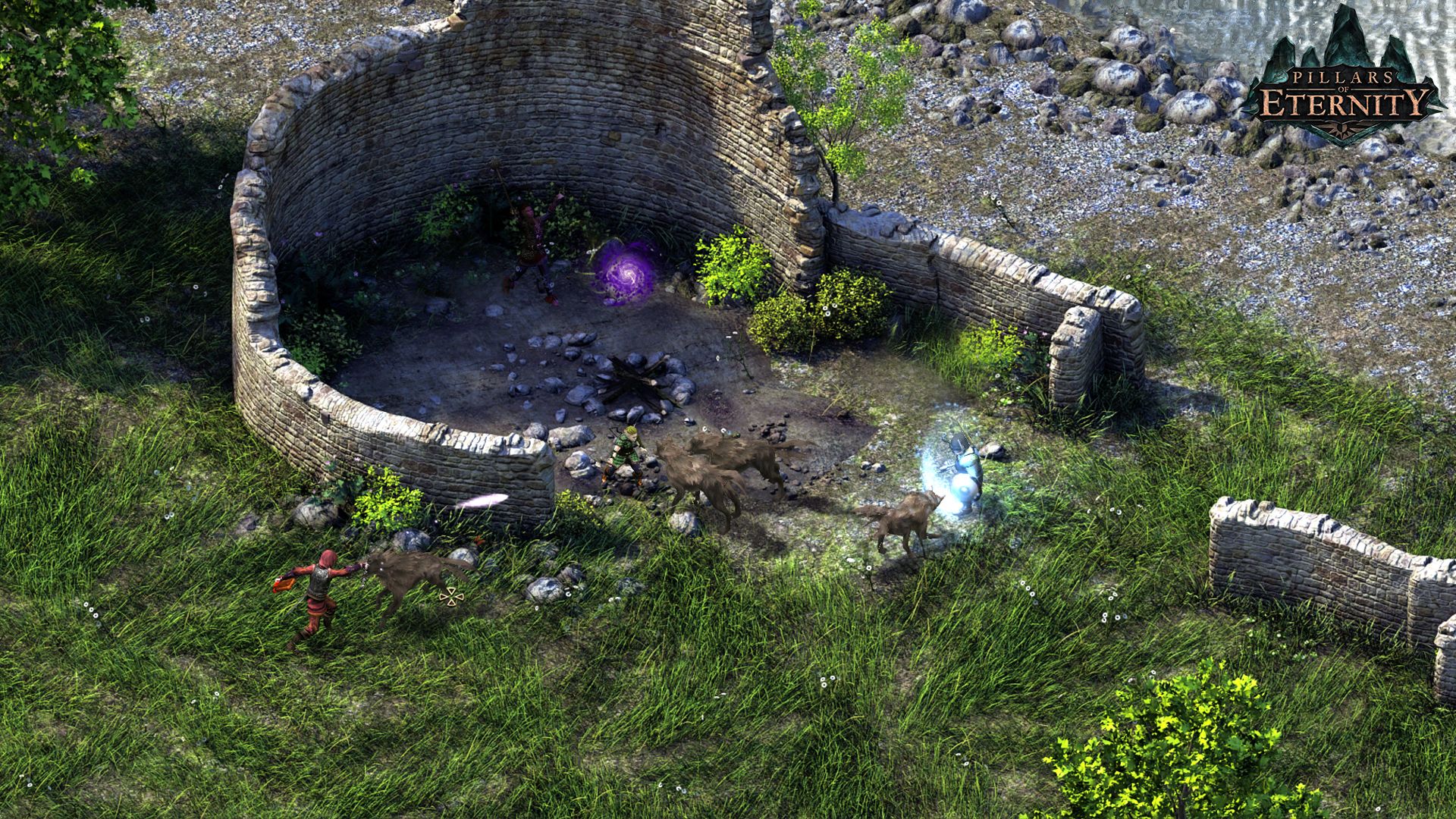 Pillars of Eternity - Champion Edition Steam Key GLOBAL