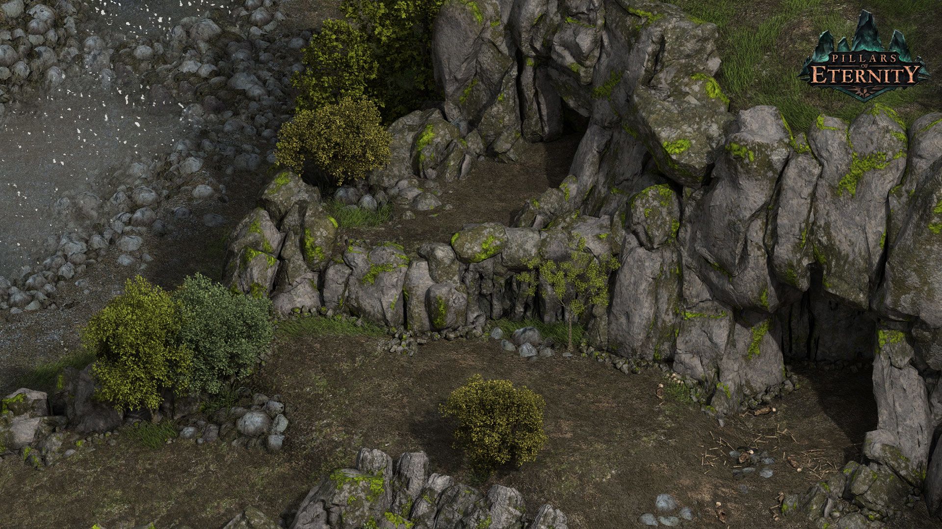 Pillars of Eternity - Champion Edition Steam Key GLOBAL