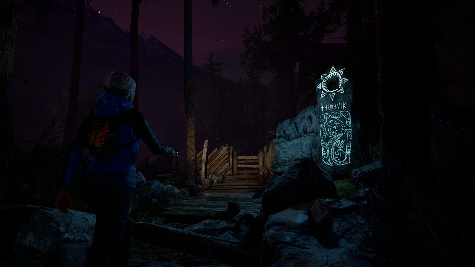 Through the Woods: Digital Collector's Edition Steam Key GLOBAL