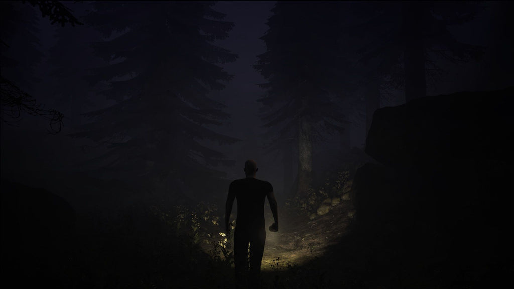 Unforgiving - A Northern Hymn Steam Key GLOBAL