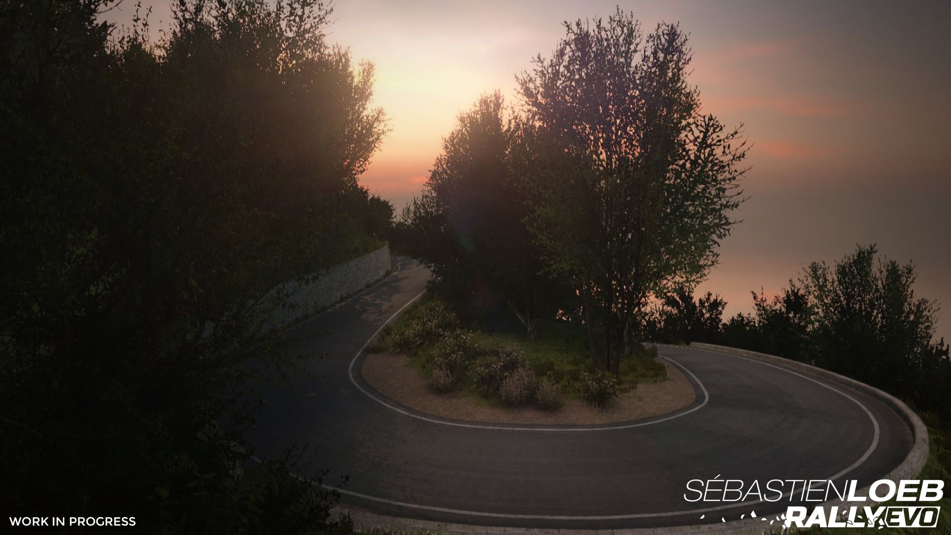 Sebastien Loeb Rally EVO - Special Edition Key Steam GLOBAL