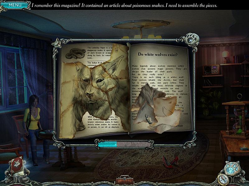 Mountain Crime: Requital Steam Key GLOBAL
