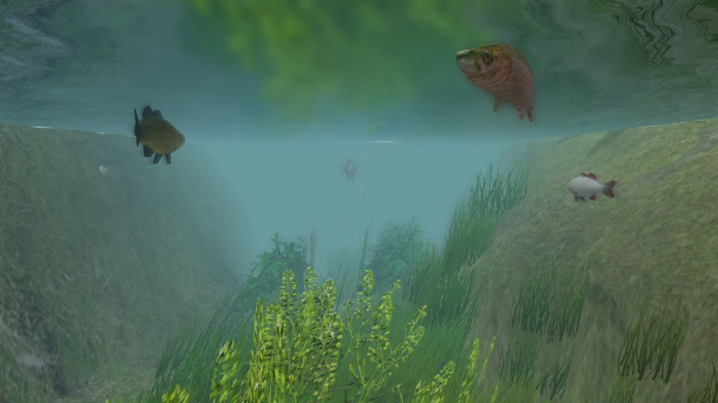 European Fishing Steam Key GLOBAL