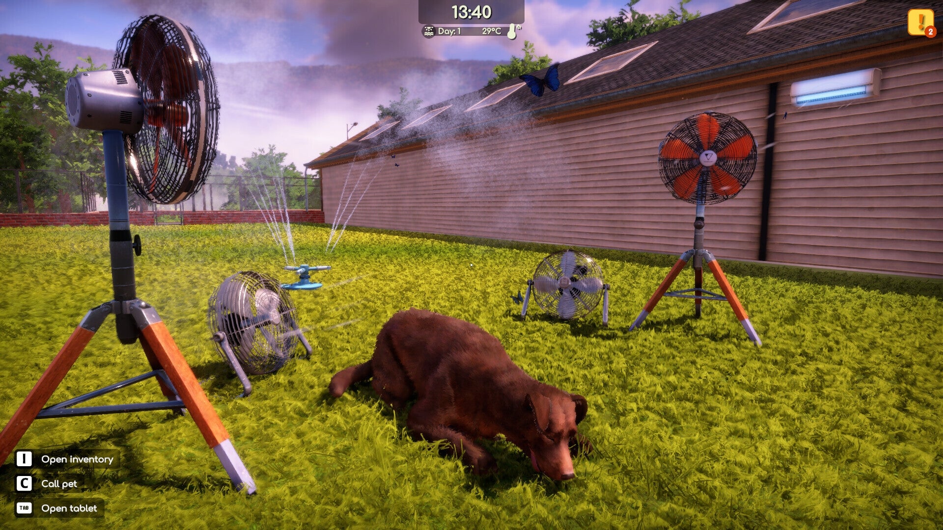 Animal Shelter 2 (PC) - Steam Key - GLOBAL