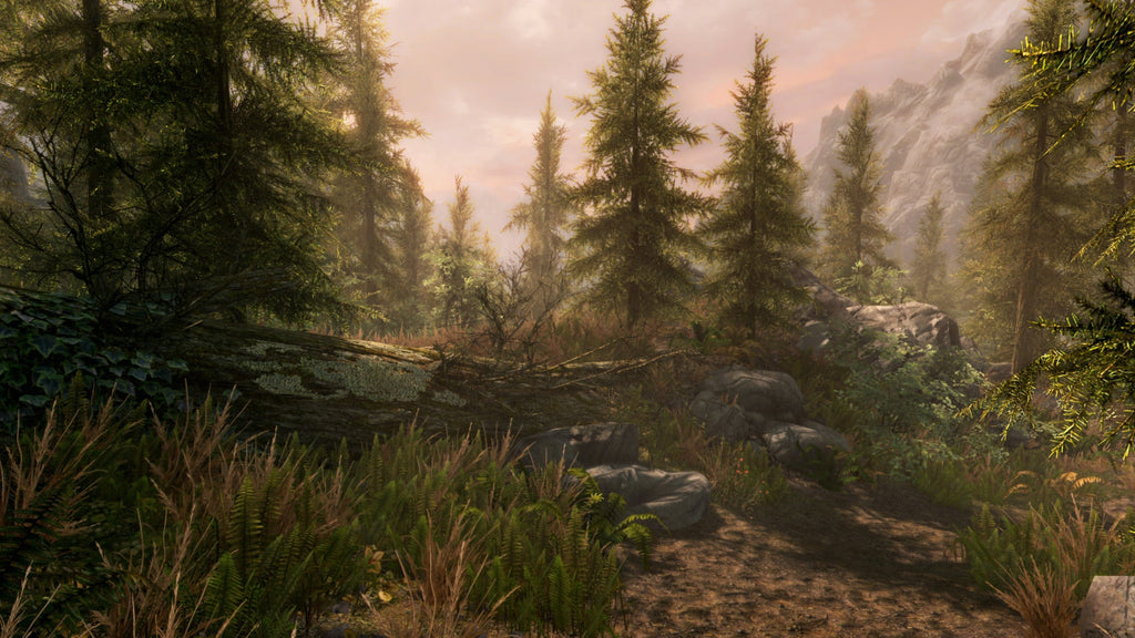 The Elder Scrolls V: Skyrim - Legendary Edition Steam Key EUROPE