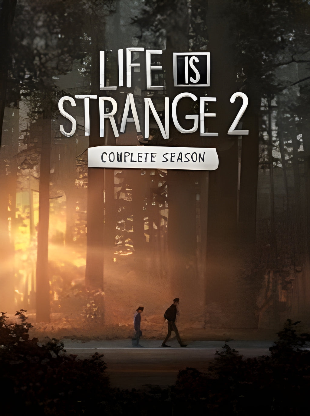 Life is Strange 2 Complete Season Steam Key GLOBAL